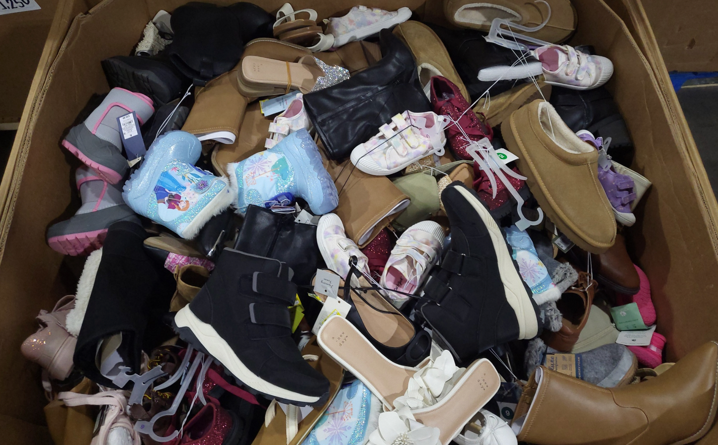 TGT Shoes | NC/TX